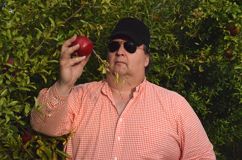 Man in hat inspecting fruit