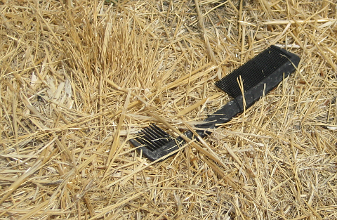 Comb on dead grass