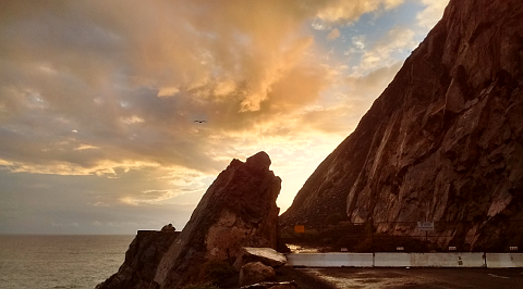 Sunset behind rock, with seagull