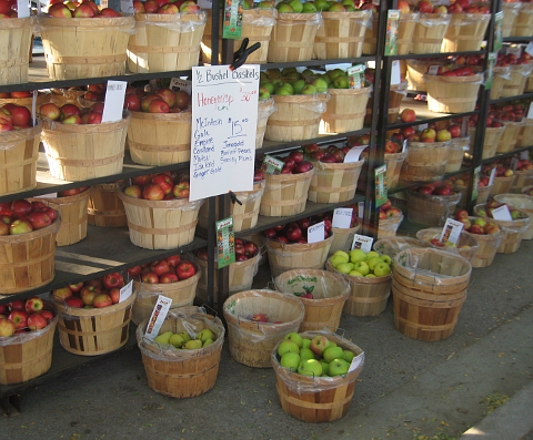 Apples