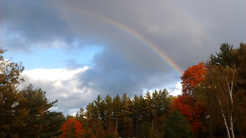 Rainbow over autumn trees