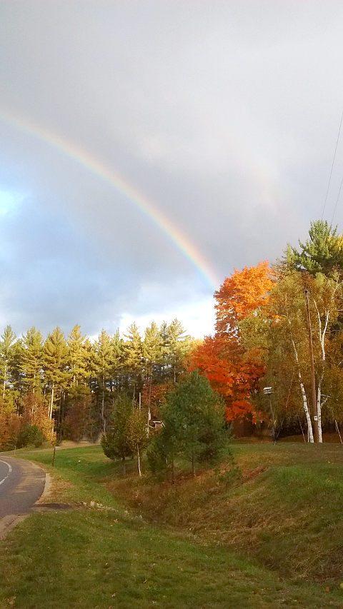 Rainbow over autum trees
