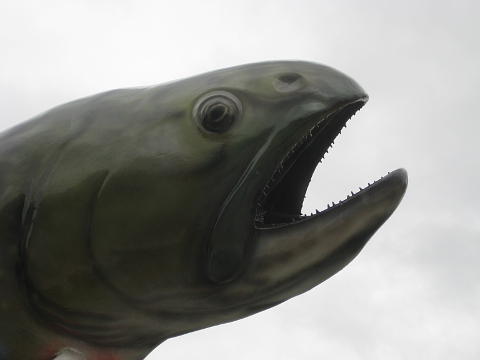 Details of fish statue