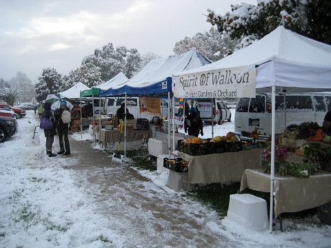 Farmers market in snow