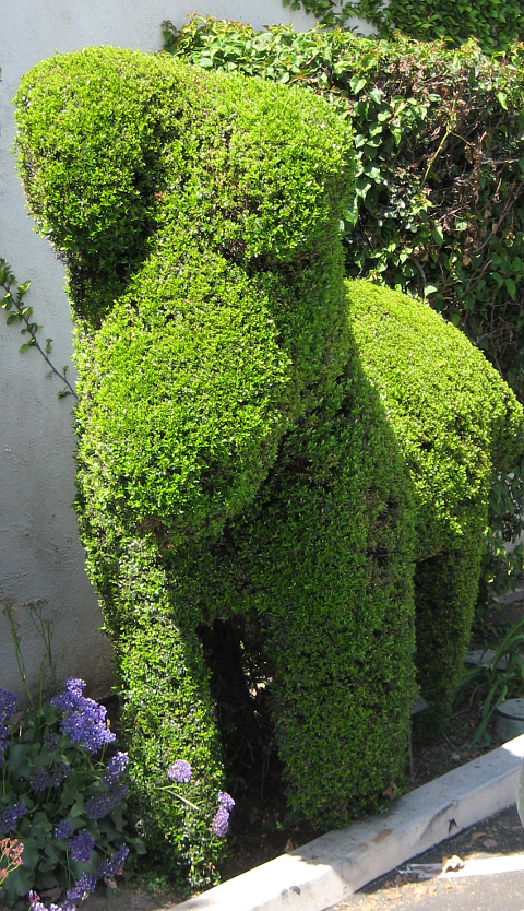 Topiary
