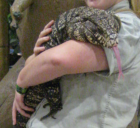Female handler holding lizard