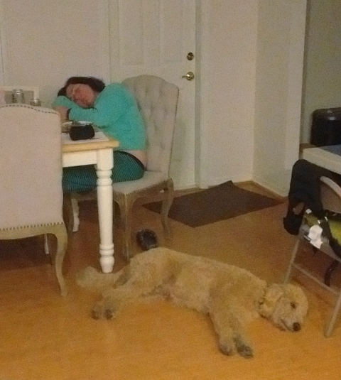 Woman and dog asleep in kitchen