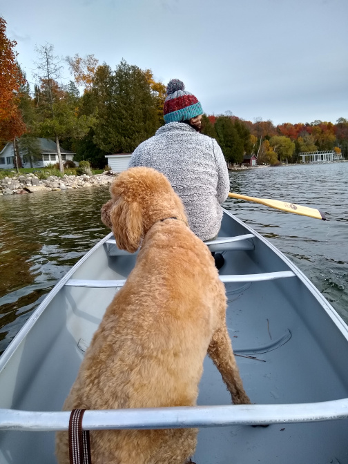 Dog in Canoe