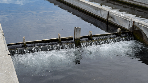 Water flowing over separator