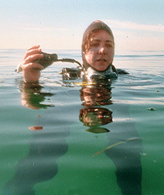 A woman in SCUBA gear floats on the surface of the ocean