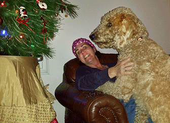A dog leaps upon a woman sitting next to a Christmas tree