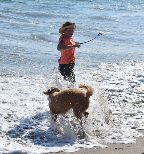 Dog and woman in surf