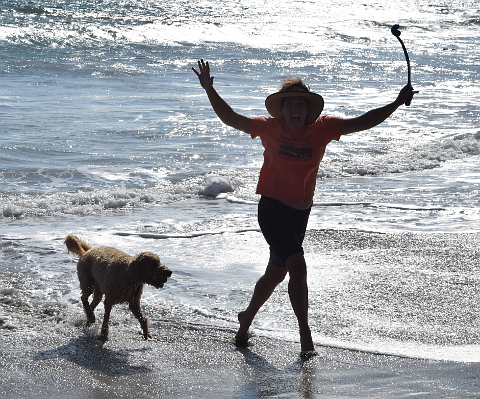Backlit dog and woman in surf