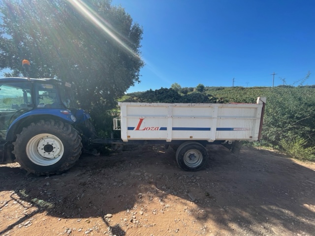 Truck unloading grapes