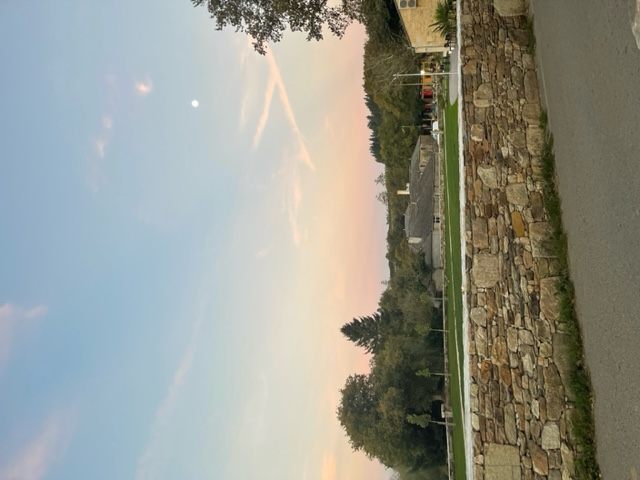 Building behind wall