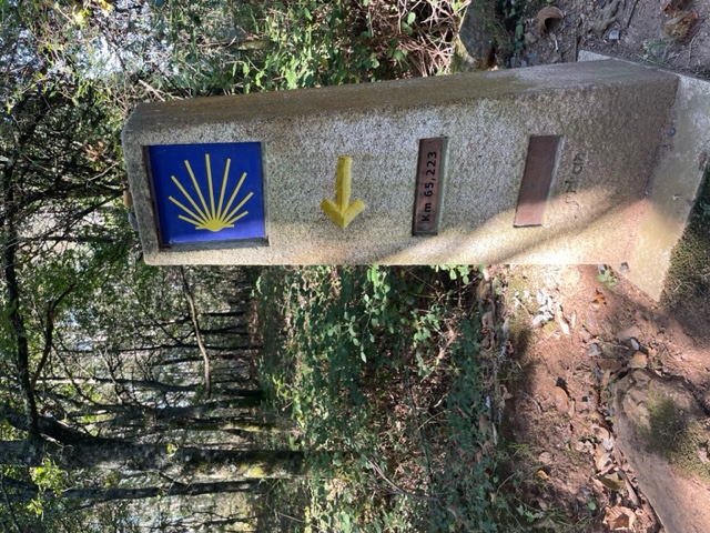 Marker