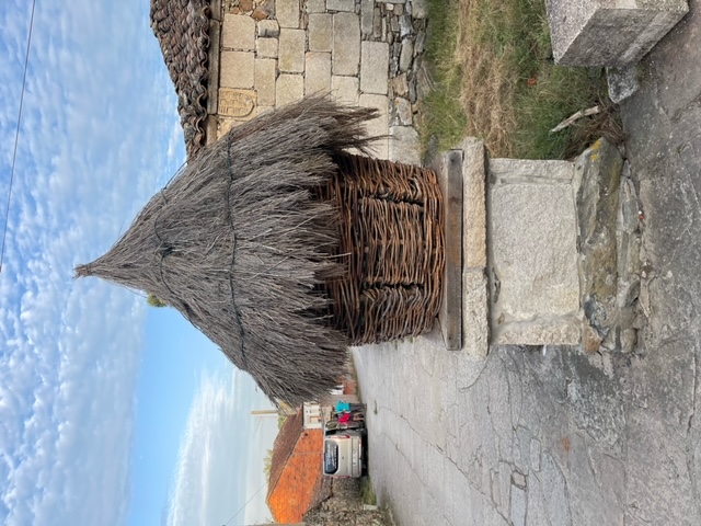 Thatch covered basket